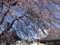 IMG_7810