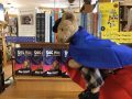 Sebastian T. Bear dons a Super Power cape for reading!