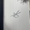 Bury Our Bones in the Midnight Soil by V.E. Schwab (Signed) - Image 2