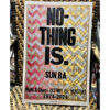 Sun Ra poster: NO-THING IS printed by Amos Paul Kennedy, Jr. (signed)