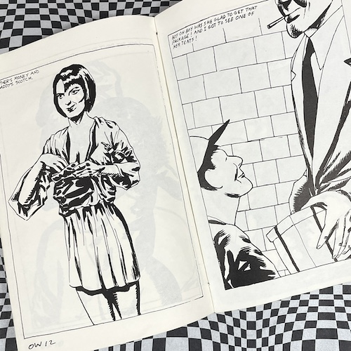 The Observable World by Ray Pettibon (signed) - Image 2