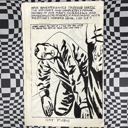 The Observable World by Ray Pettibon (signed) - Image 3