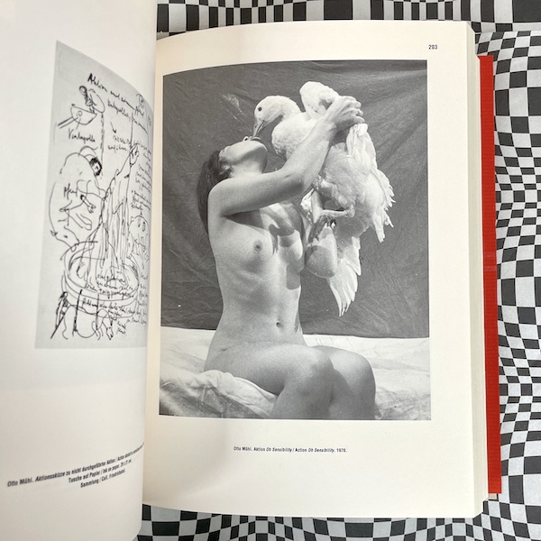 Viennese Actionism, Vienna, 1960-1971: The Shattered Mirror - Image 4