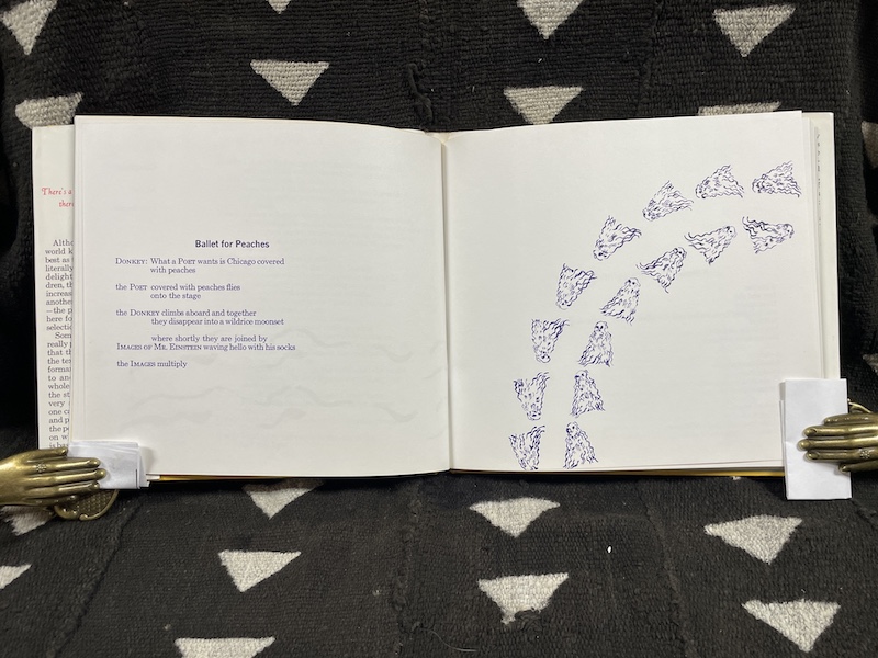 There's a Little Ambuguity Over There Among the Bluebells, by Ruth Krauss - Image 2