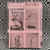Archive of Dreams: A Surrealist Impulse