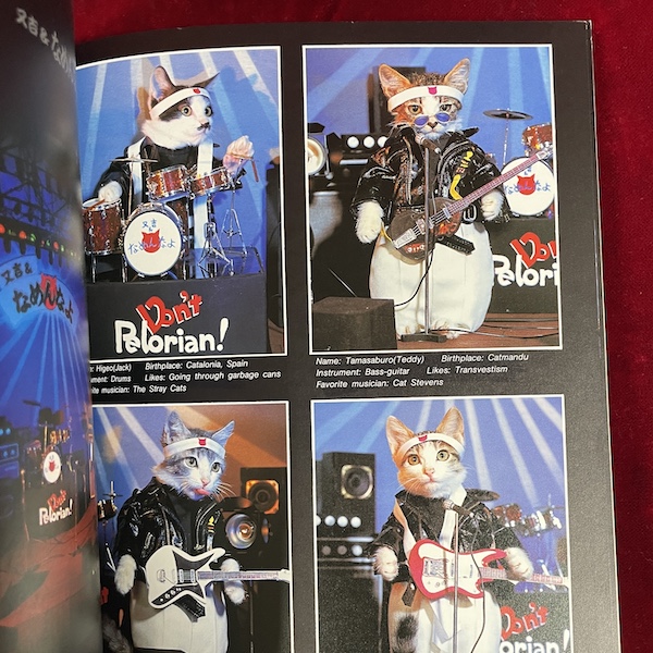 Namennayo Cats (Satoru Tsuda) - Image 4