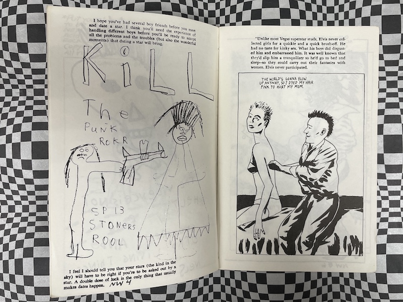 New Wavy Gravy #1; signed Raymond Pettibon - Image 3