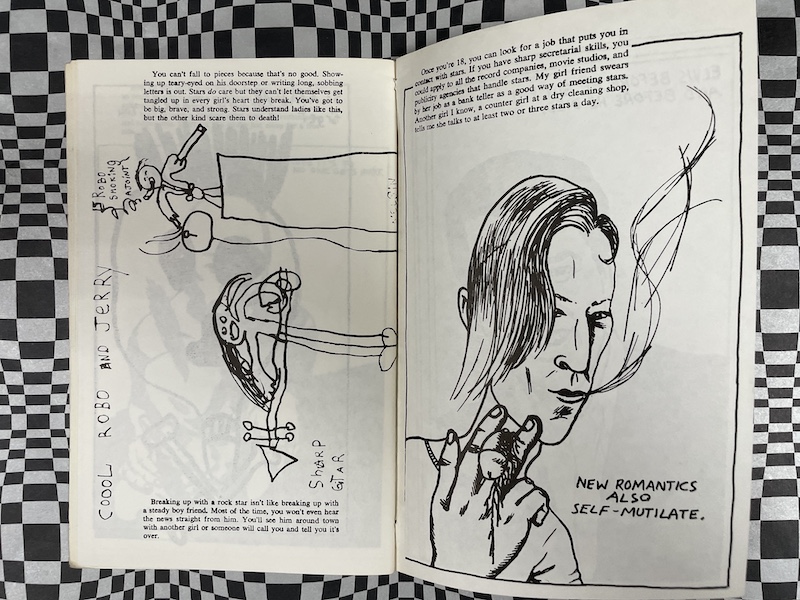 New Wavy Gravy #1; signed Raymond Pettibon - Image 4