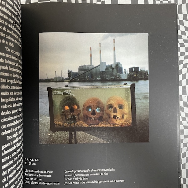 Paisajes Del Deseo: Thomas Brenner • Arthur Tress - Image 5