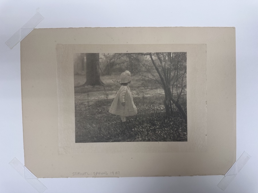 Alfred Stieglitz: Camera Work Photogravure, Spring 1901 - Image 2