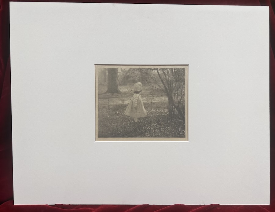 Alfred Stieglitz: Camera Work Photogravure, Spring 1901