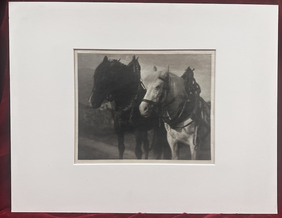 Alfred Stieglitz: Photogravure on rice paper, Horses, 1904