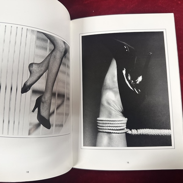 Fantaisie Érotique Volume 1: LEGS (Photographies Sadomasochisme) - Image 2