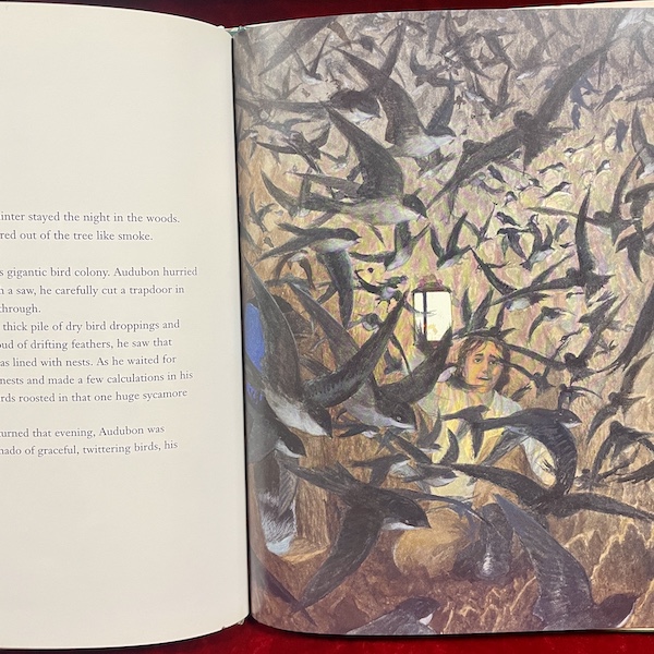 Audubon: Painter of Birds in the Wild Frontier - Image 2
