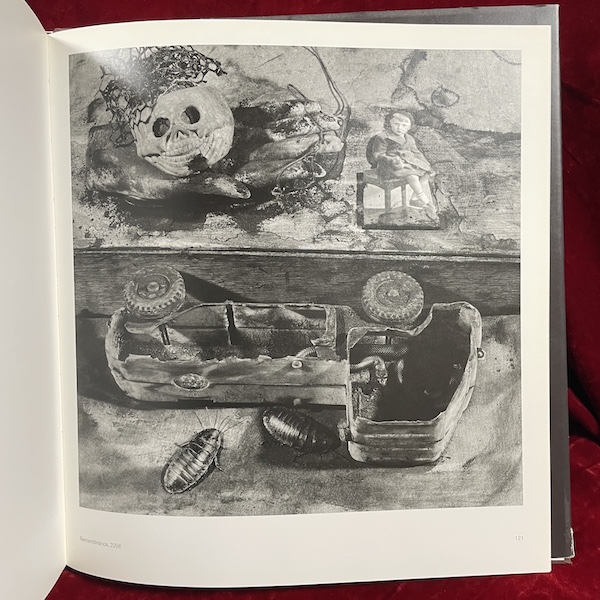 Boarding House by Roger Ballen (signed) - Image 3