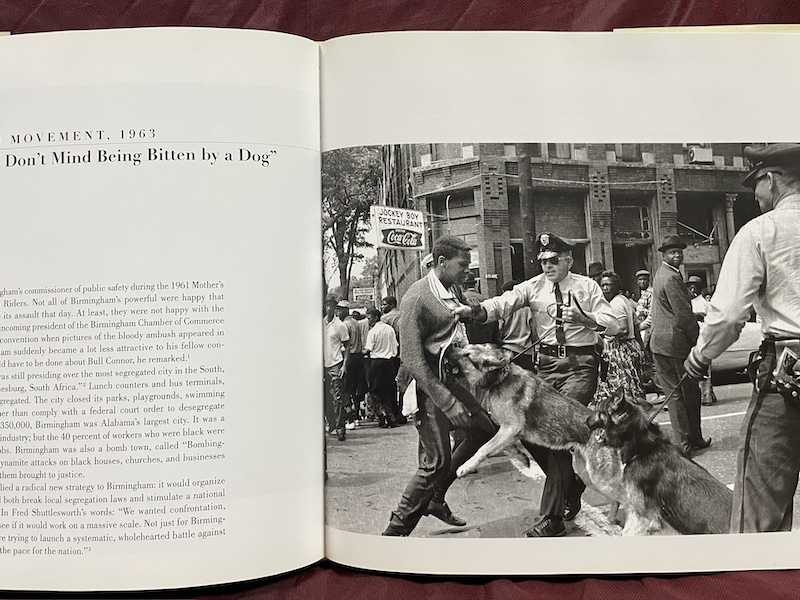 The Civil Rights Movement: A Photogrpahic History, 1954-68 - Image 2