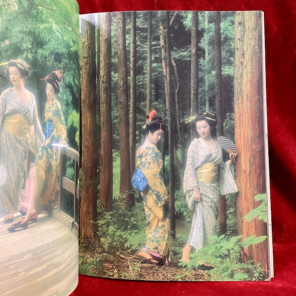 Edo-Zoshi: Image of Ukiyoe, Now: photographed by Kanemoto Nobuo - Image 2