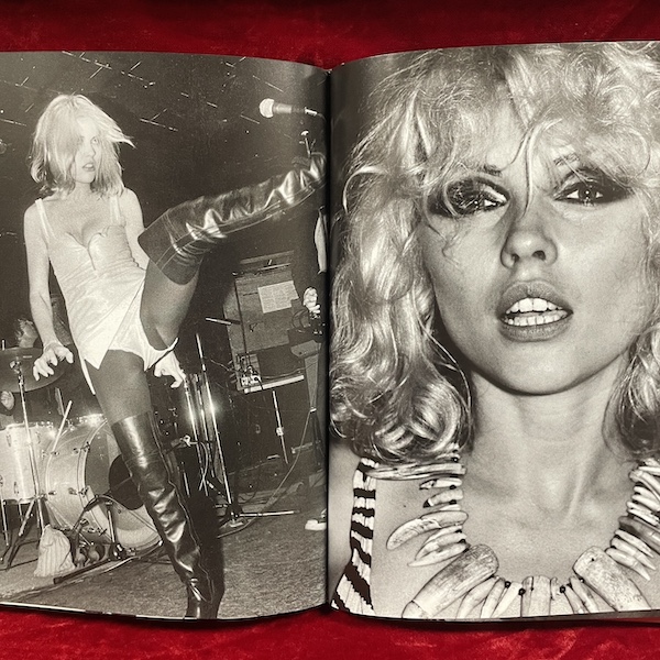 Max's Kansas City: Art, Glamour, Rock and Roll - Image 3