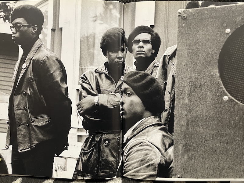The Black Panthers: Photographs by Stephen Shames (signed 1st ed.) - Image 2